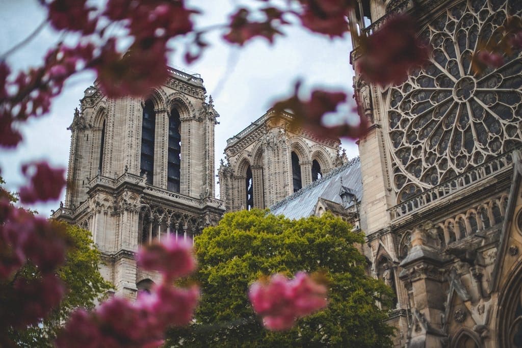 Notre Dame Cathedral in Paris with vibrant spring blossoms framing the historic architecture.