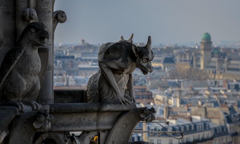 Gothic gargoyle overlooking Paris cityscape, capturing urban architecture and history.