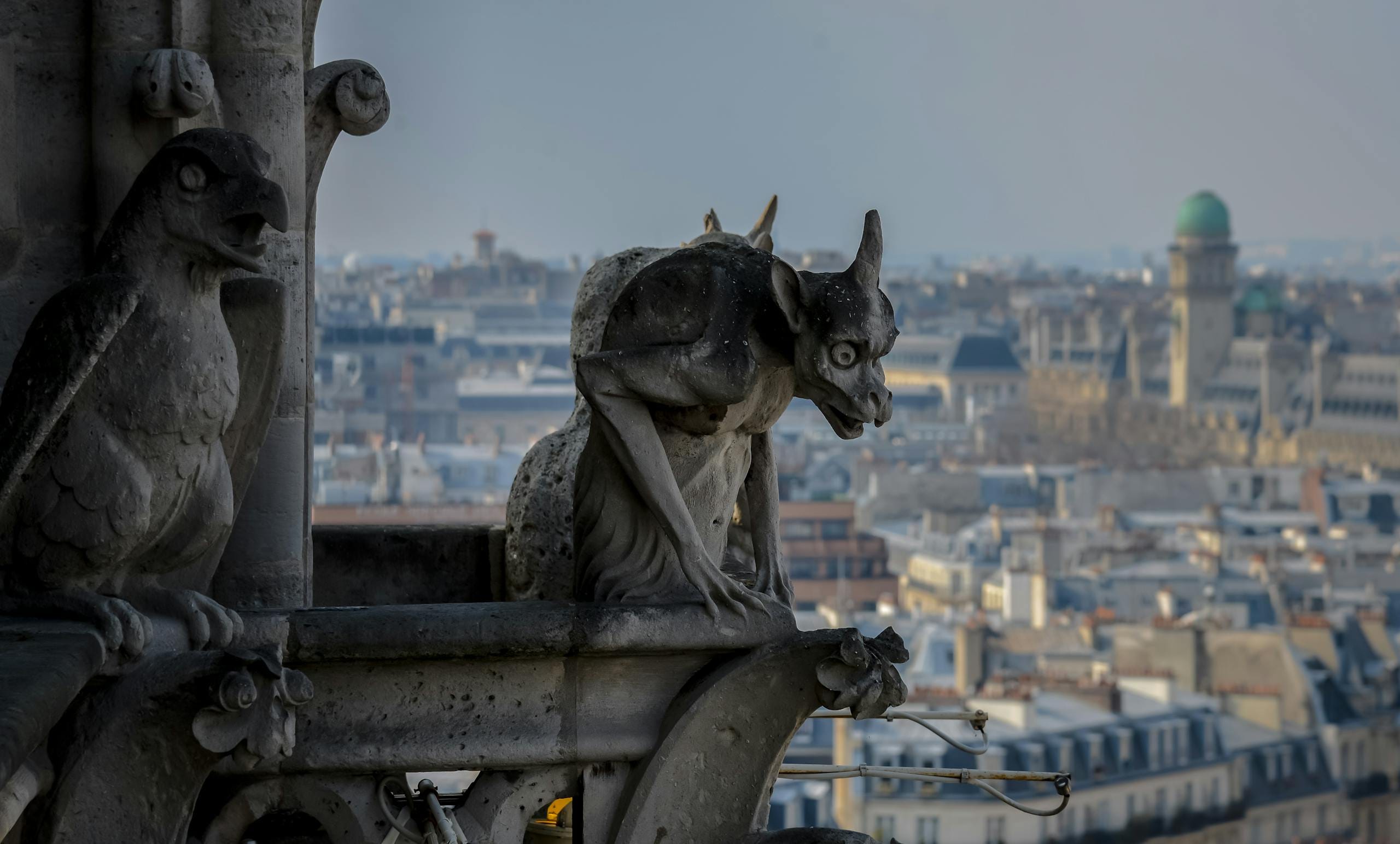 Gothic gargoyle overlooking Paris cityscape, capturing urban architecture and history.