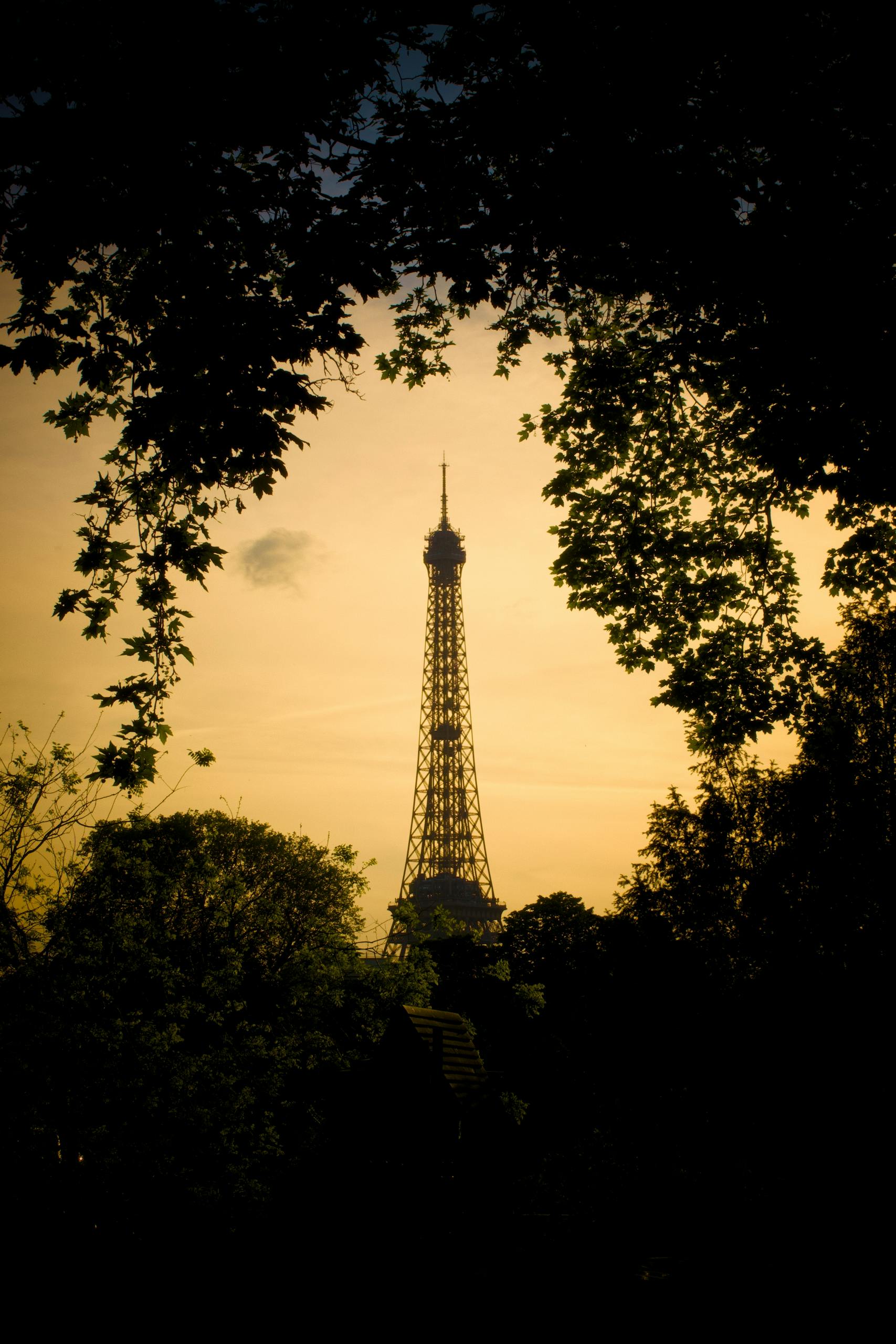 The Eiffel Tower in Paris silhouetted against a golden sunset, framed by leafy trees.